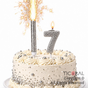 SET BENGALA Y VELA NUMERAL NUMERO 7 CON GIBRE PLATA